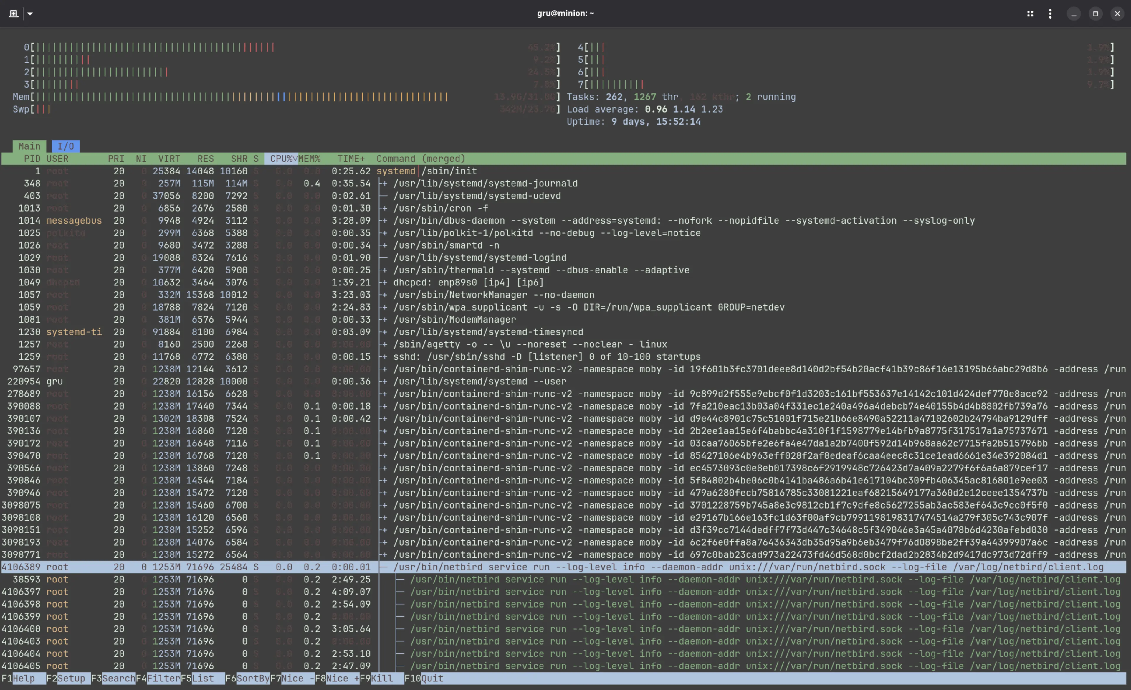 Picture of Htop showing Netbird process far from the top 5